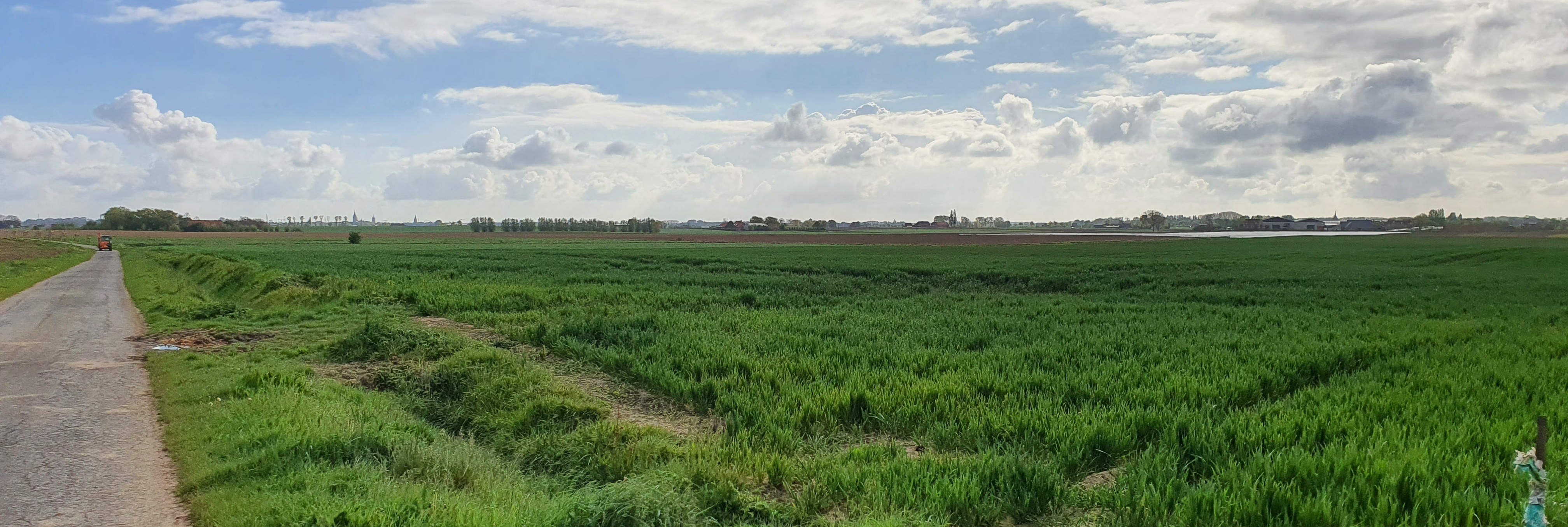 Kansrijke locatie grauwe gors te Dikkebus (Foto: 20/04/26, D. Moeyaert, vzw Veldwerk)