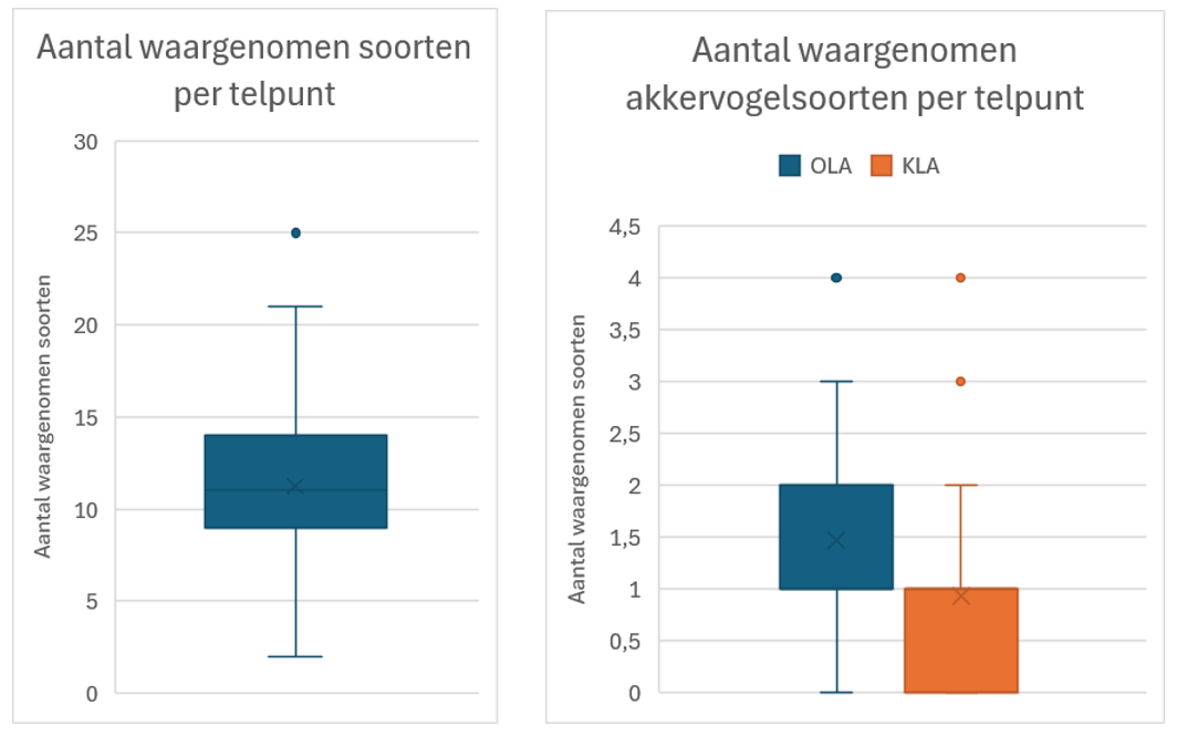 LINKS: Boxplot met spreiding van het aantal waargenomen soorten per telpunt op Kiek'n Gors Westhoek 2026; RECHTS: Boxplot met spreiding van het aantal waargenomen OLA’s (6 soorten opgenomen: bruine en grauwe kiekendief, veldleeuwerik, gele kwikstaart, kievit, grauwe gors en kwartel) en KLA’s (6 soorten opgenomen: geelgors, ringmus, grasmus, kneu, patrijs, zomertortel)