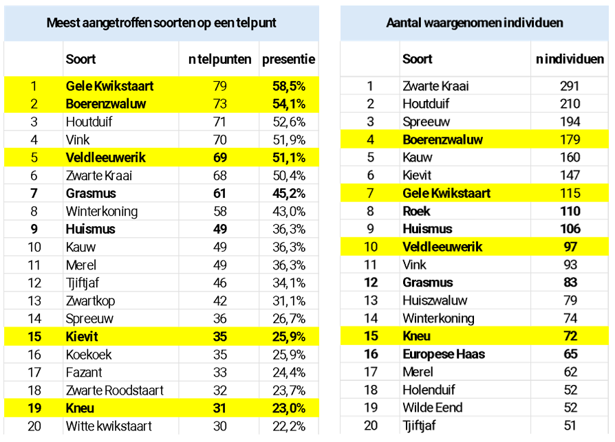 LINKS: Top 20 meest aangetroffen soorten op telpunten van Kiek'n Gors Westhoek 2026. RECHTS: TOP 20 soorten met meest aantal waargenomen individuen op Kiek'n Gors Westhoek 2026.
