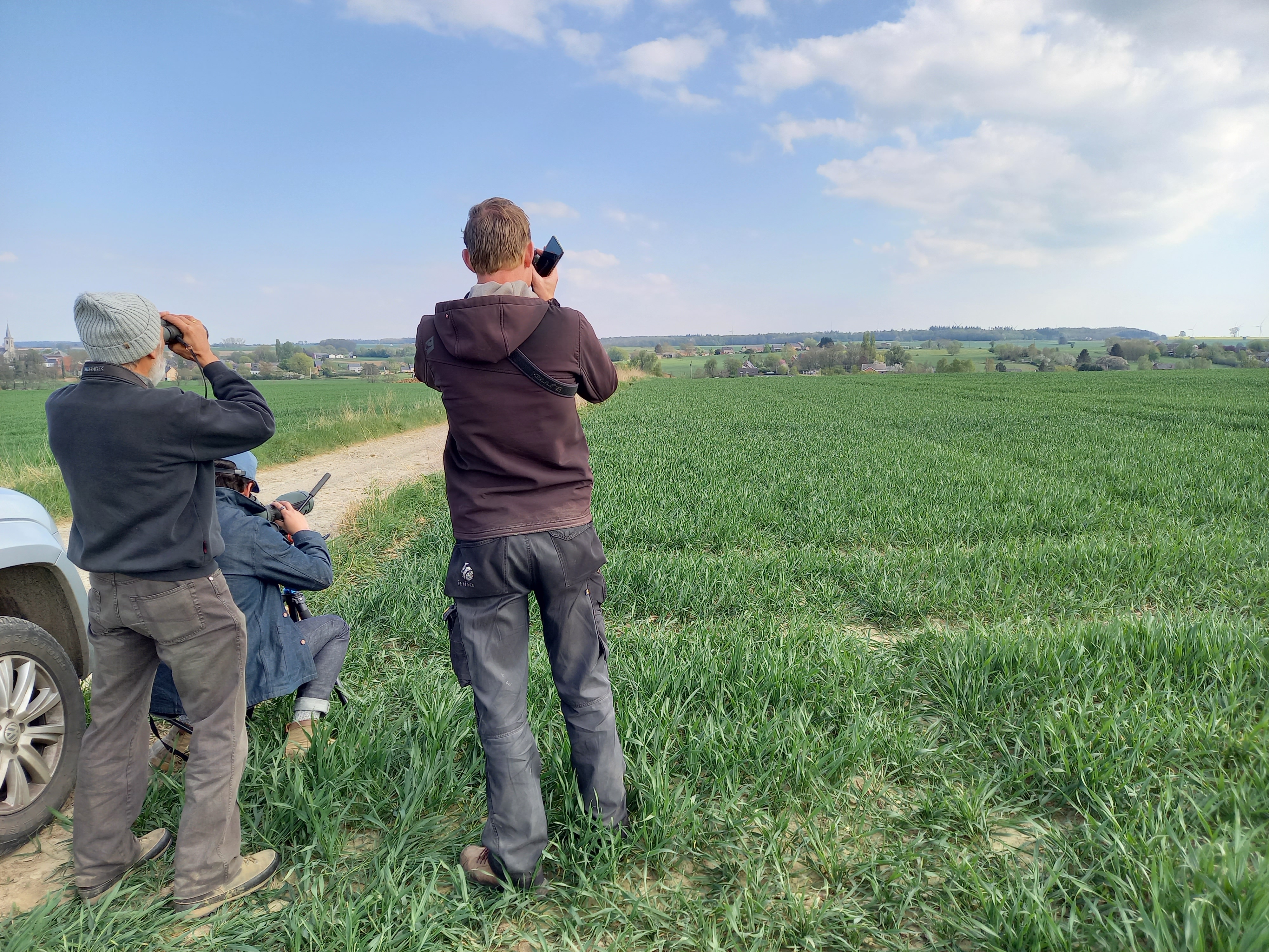 Een succesvol uitkijkpunt met een baltsende kiekendief op kilometers afstand